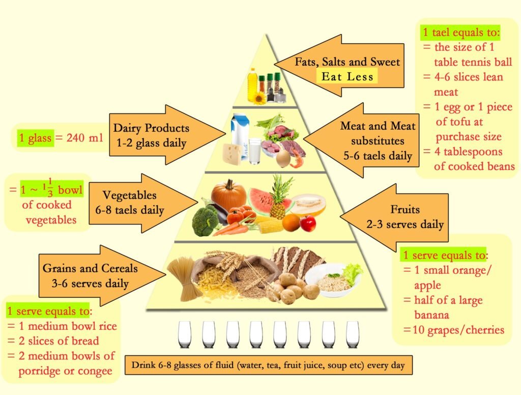 best nutrition plans for weight loss