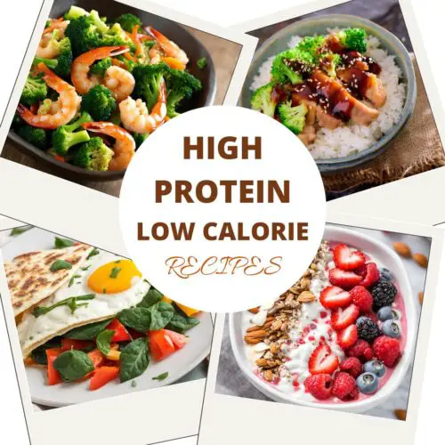 HIGH-PROTEIN-LOW-CALORIE-MEALS